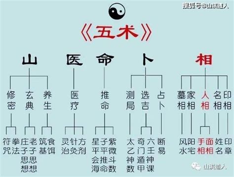 山醫命卜相|《易经》五术：山医命相卜